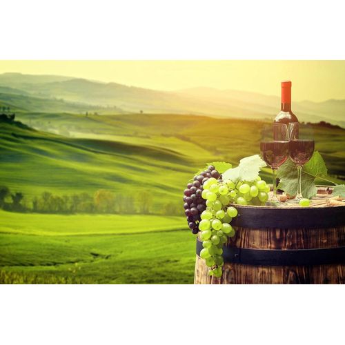 Papermoon "WEINBAU-WEIN TRAUBEN FELD WIESE WEIN SONNE LANDSCHAFT"