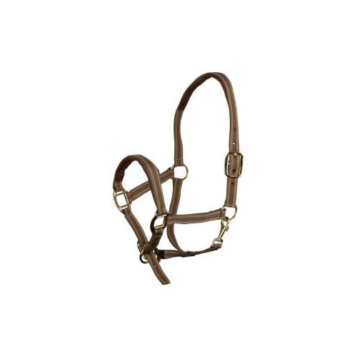 EQuest Halfter Dual Plus beige VB/ COB (Vollblut)